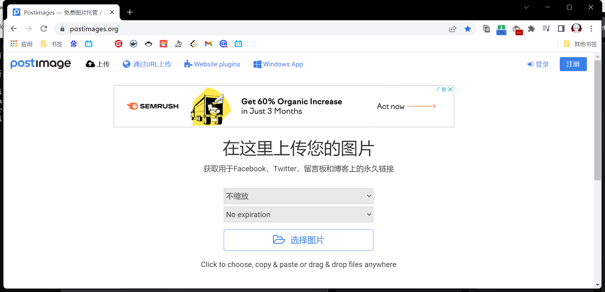 image-20221224213148087