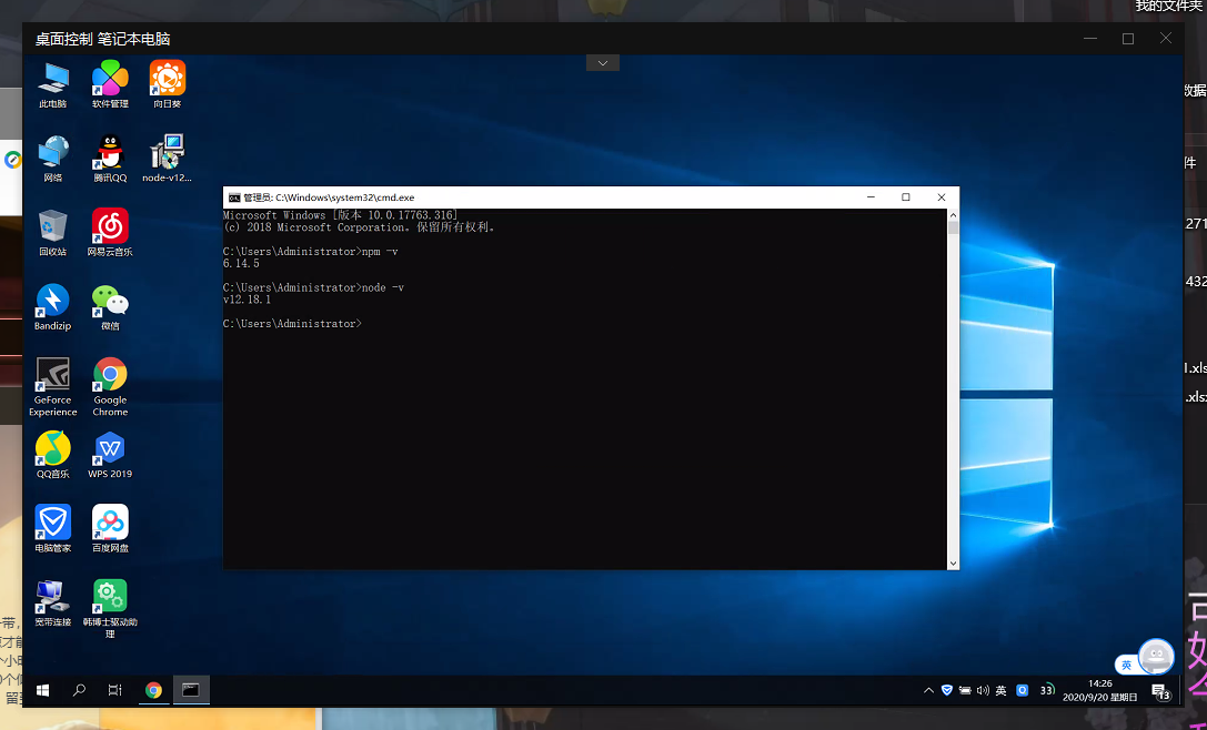 image-20200920142618893