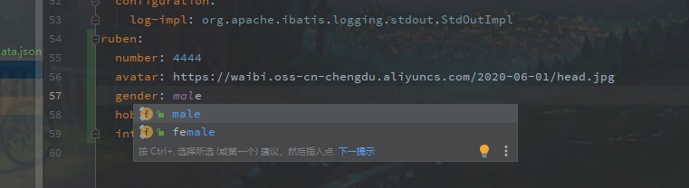 image-20210217134823805