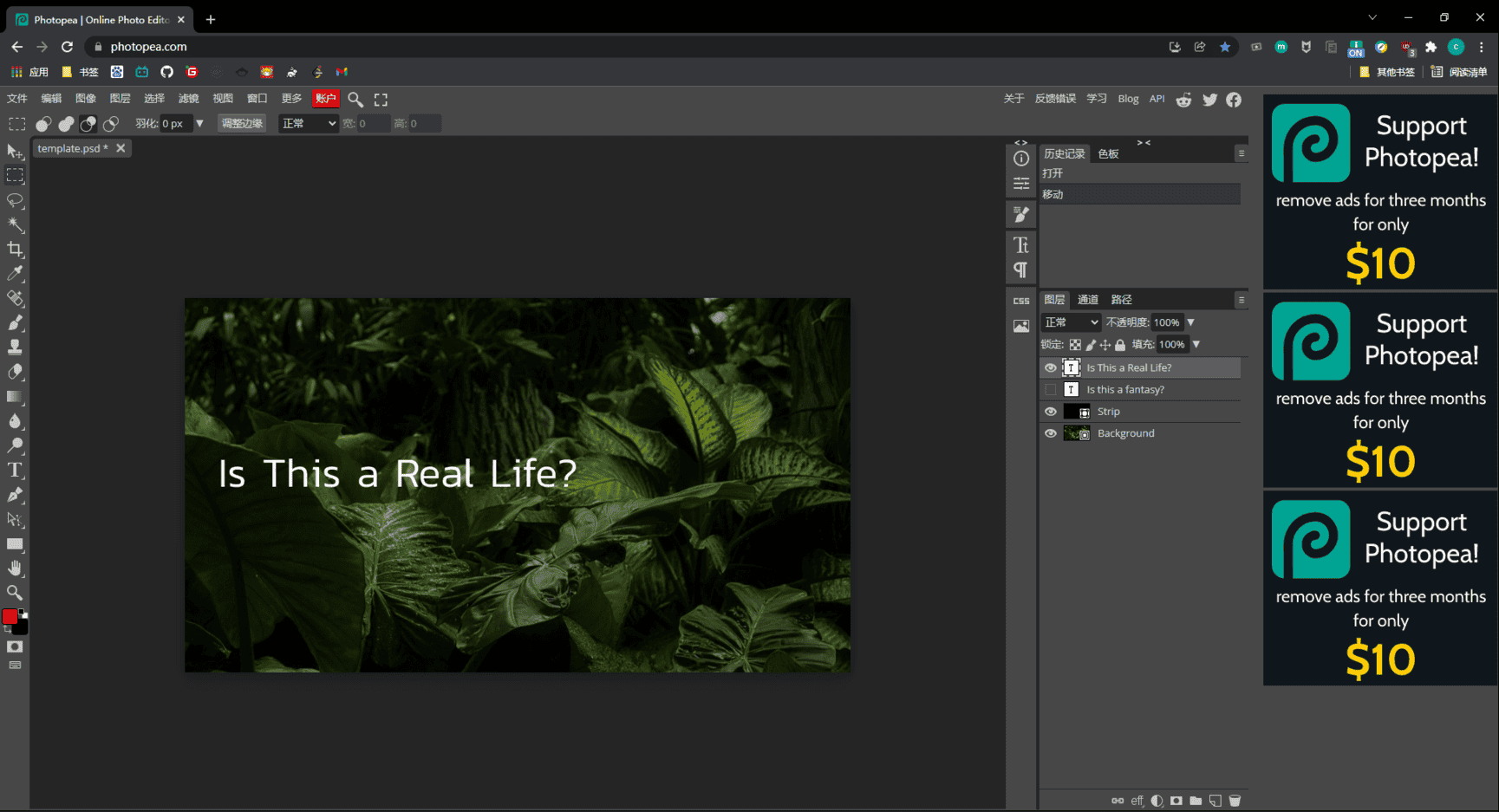 image-20220225194836343